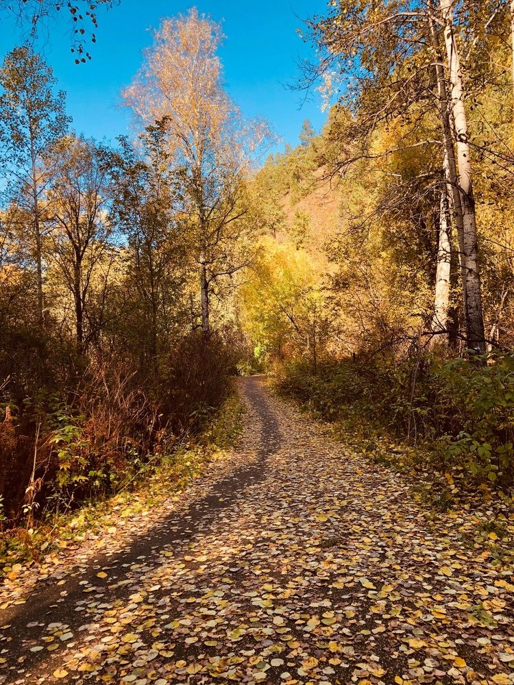 Photograph by Вадим Басов