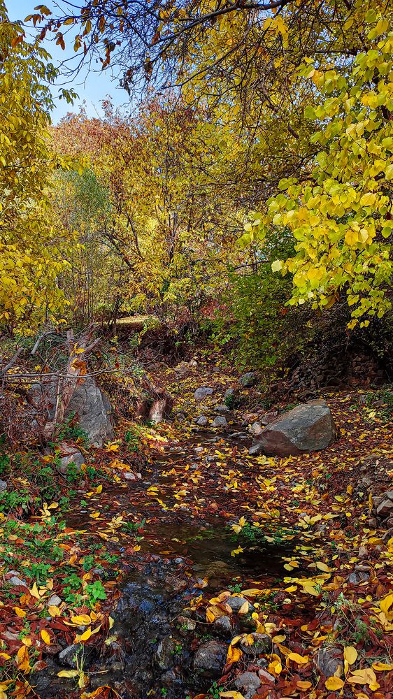 Photograph by Sherko Bahmani