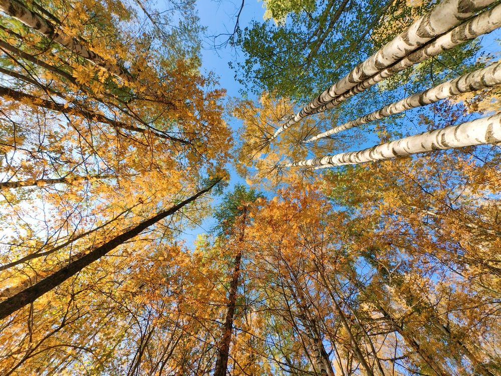 Photograph by Maiya Bulatova