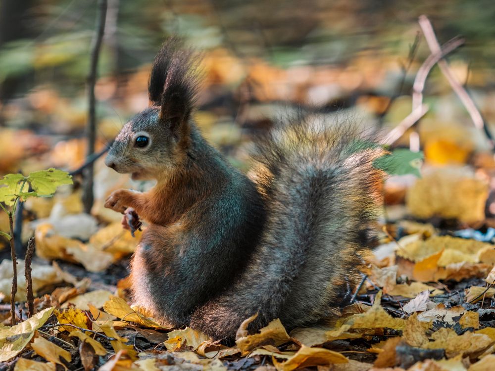 Photograph by Ольга Сергеева