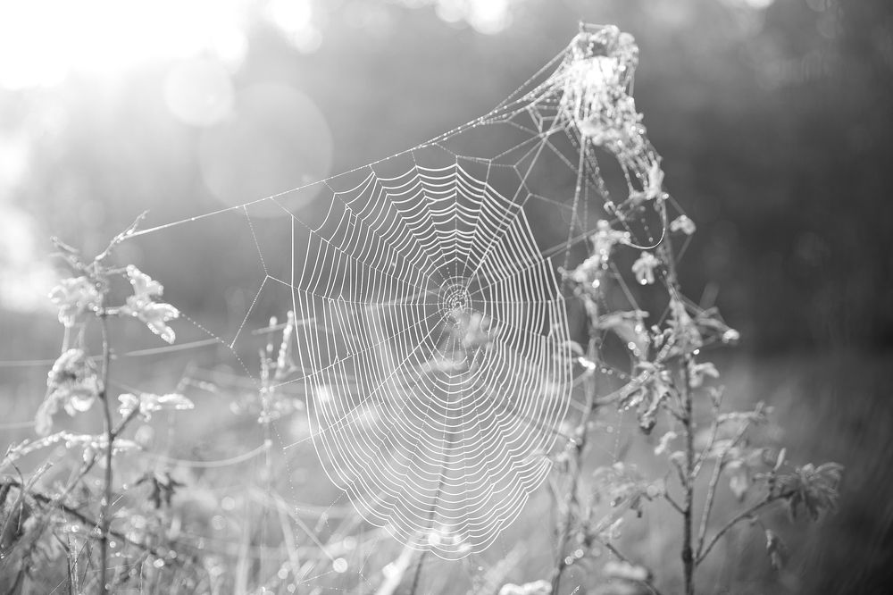 Фотография автора Татьяна Перминова