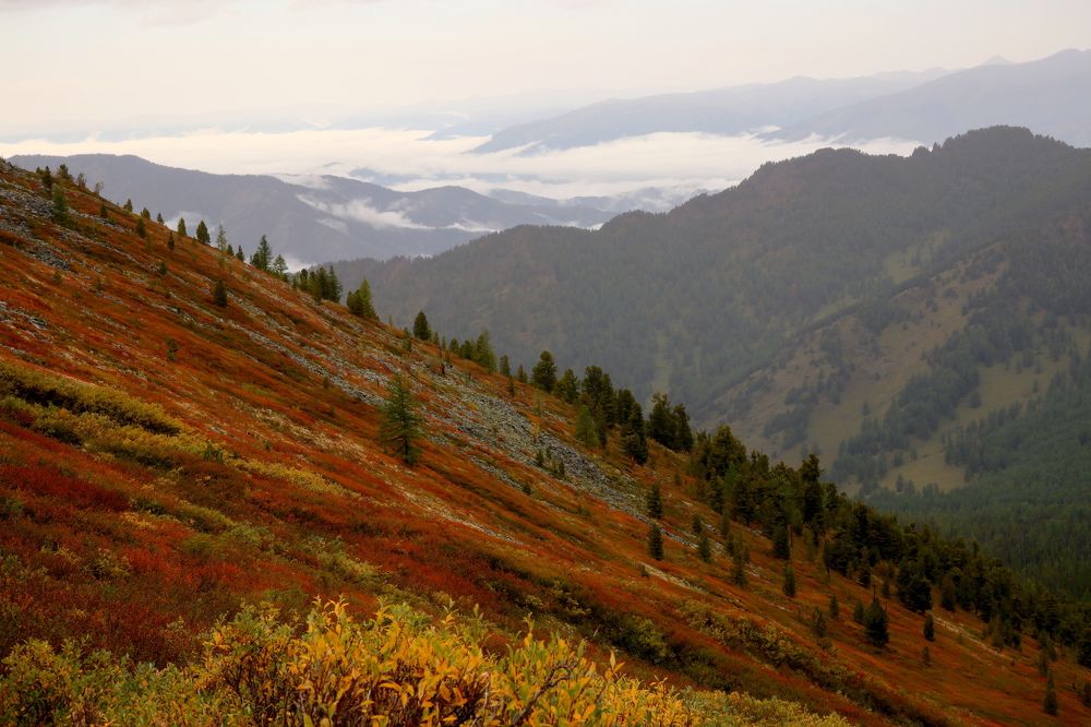 Photograph by Рашид Шайдулин