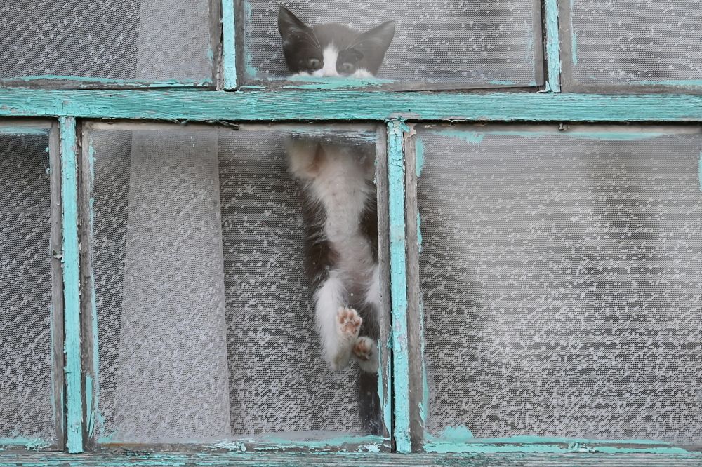 Photograph by Александр