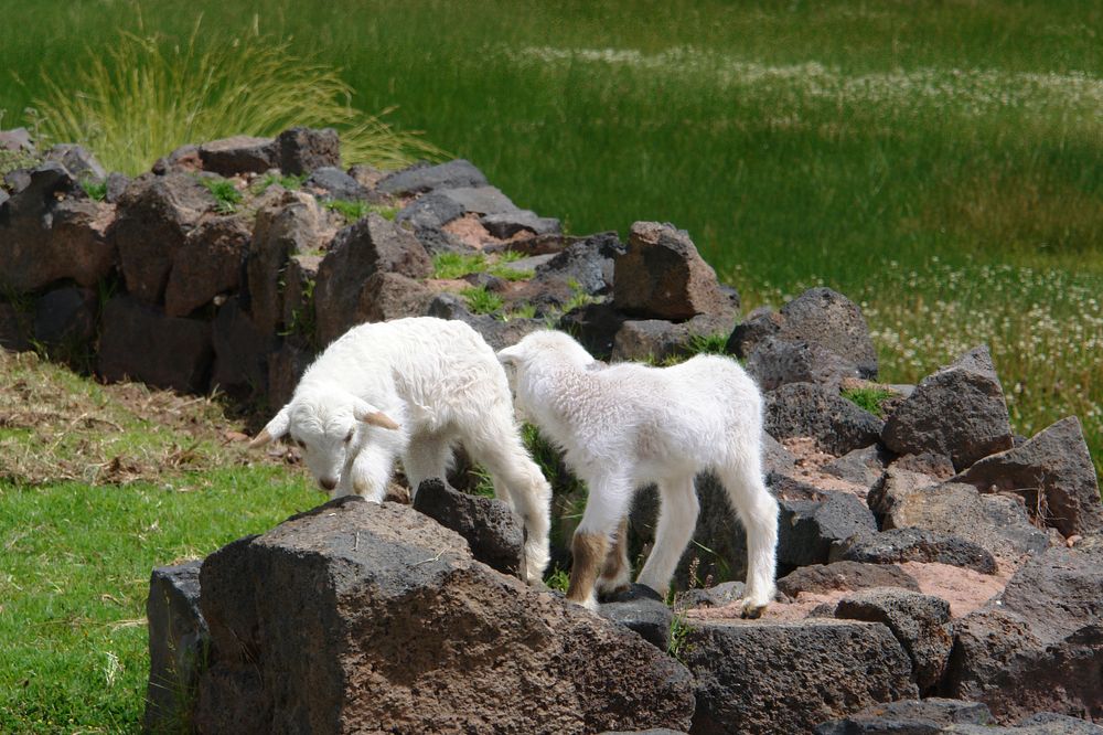 Photograph by Наталья Суслова