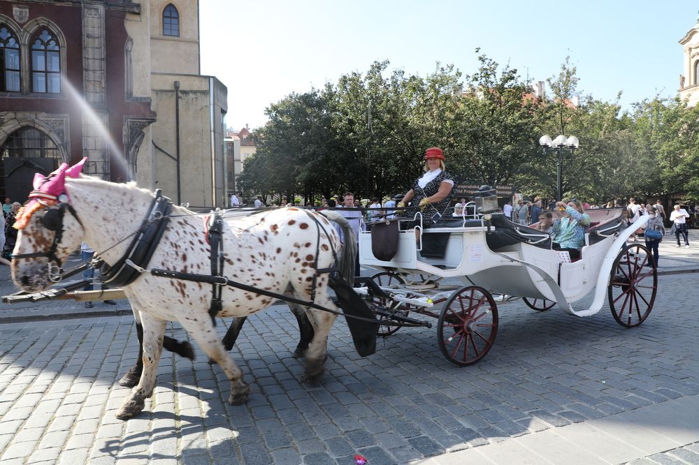 Photograph by Валерия Маркова