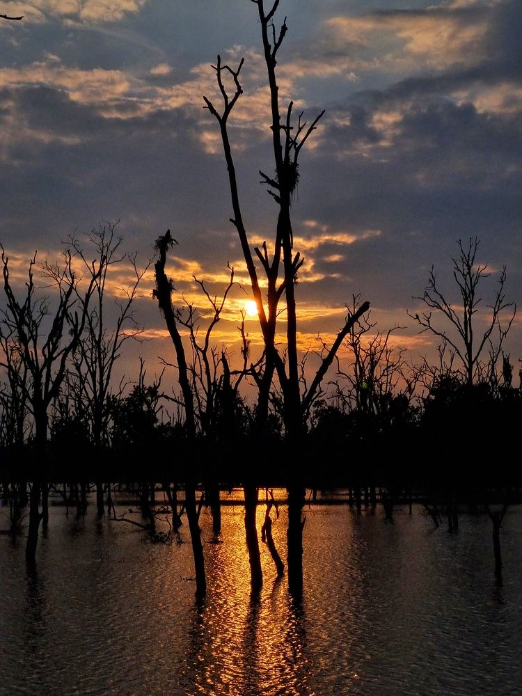 Photograph by Venkatesh Rao