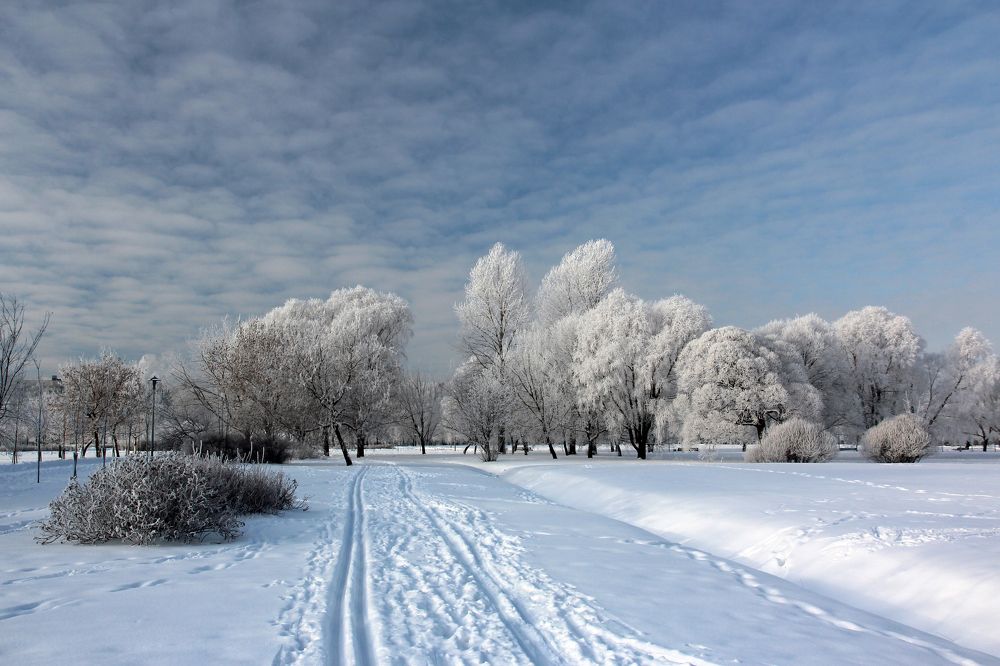 Зимний день