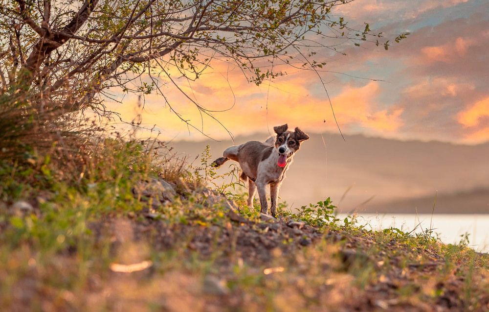 Фотография автора Гера Восьмая