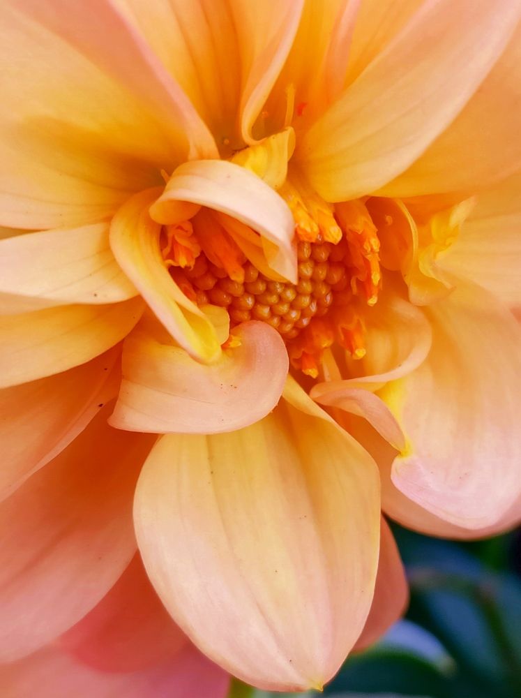 Photograph by Наталья Соколова