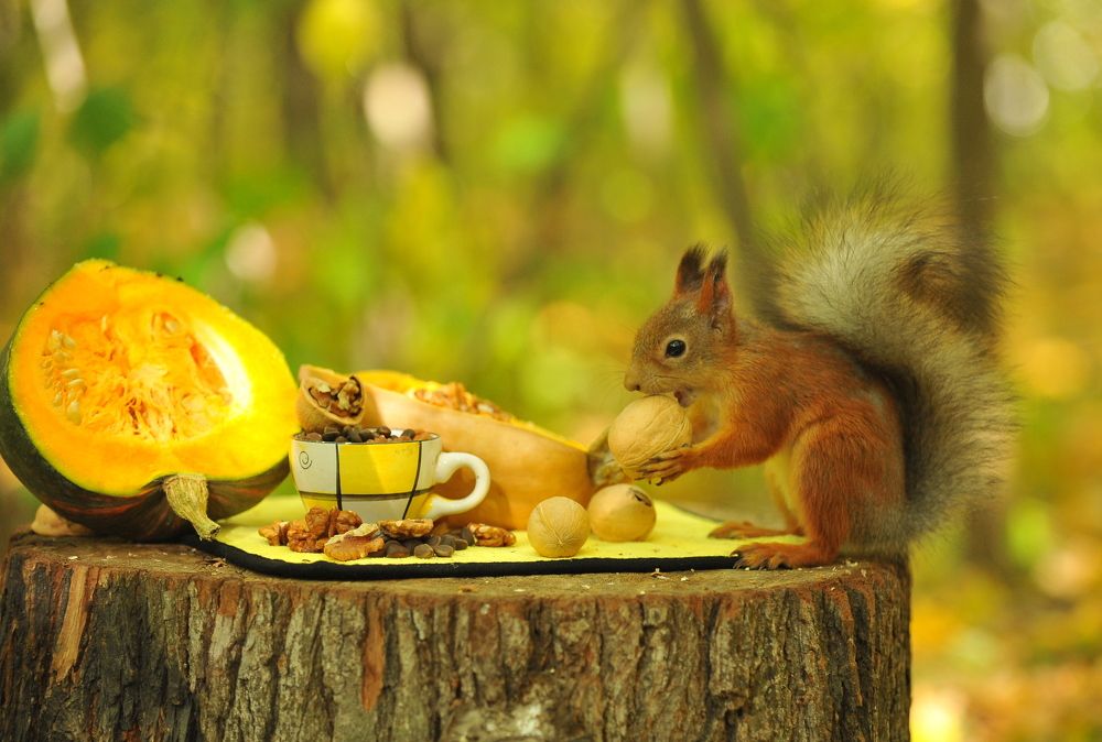 Photograph by Алексей Козлов