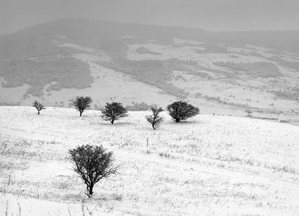 Photograph by Алексей Заморкин