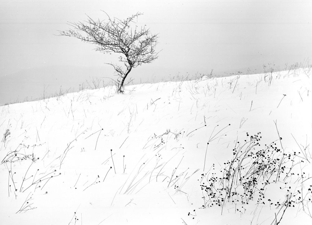 Photograph by Алексей Заморкин