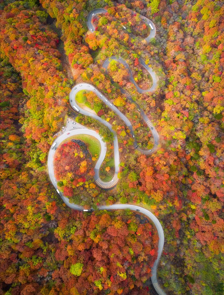 Photograph by Nguyen Anh Khoa