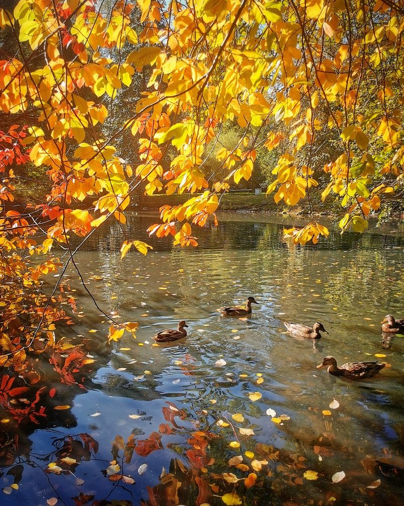 Photograph by Елена Кононенко