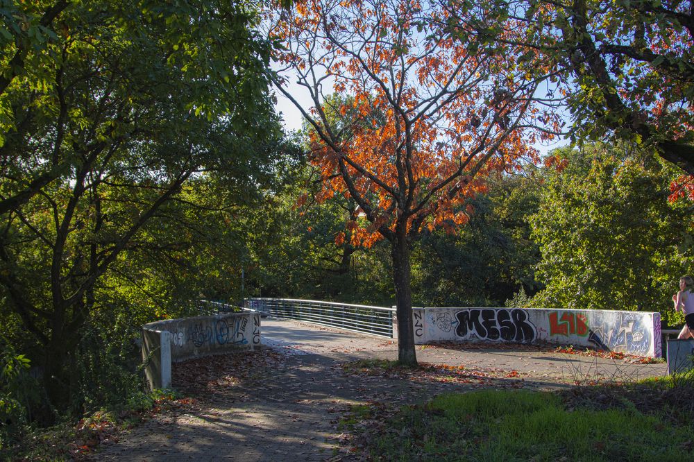 Photograph by Регина Орехова