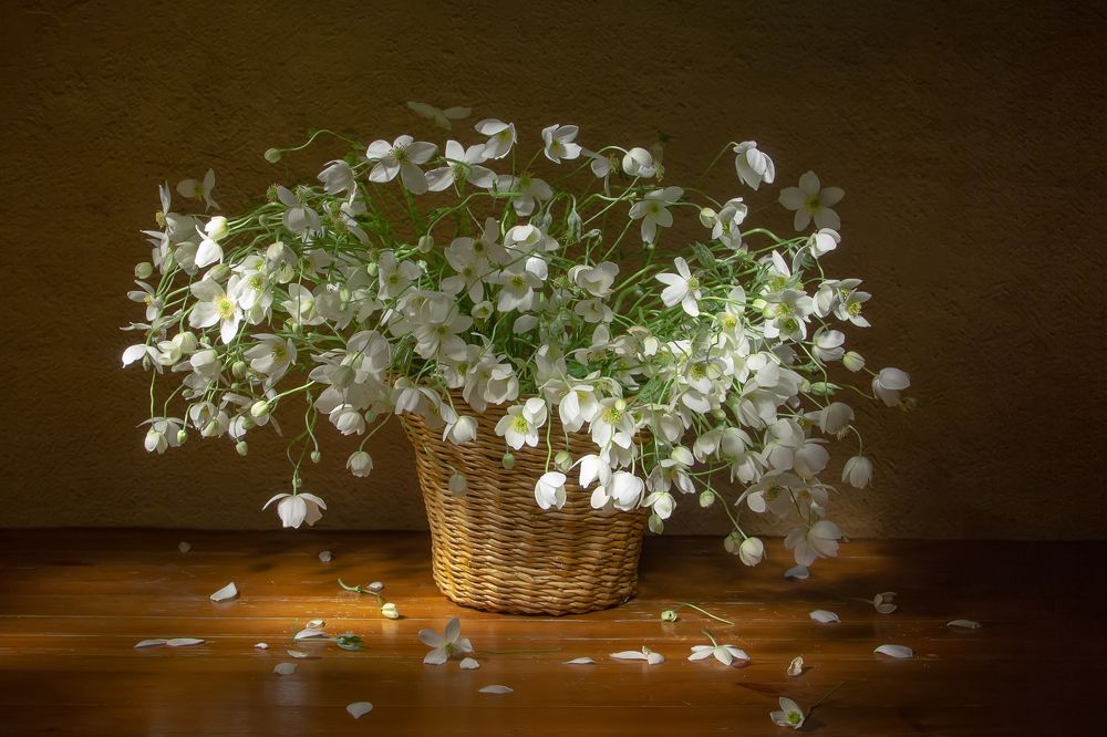 Photograph by Татьяна Феденкова