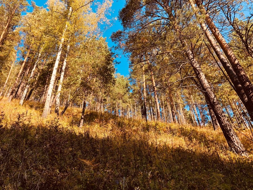 Photograph by Вадим Басов