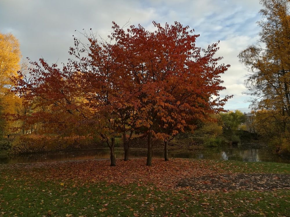 Photograph by Елизавета