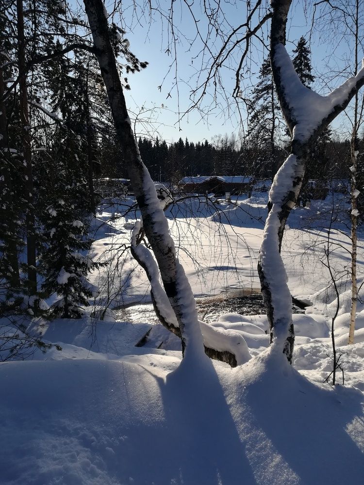 Photograph by Елизавета