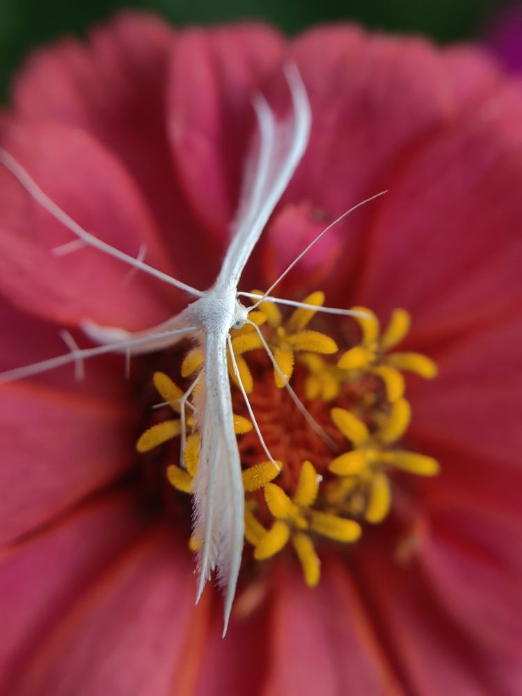 Photograph by Полина Мальцева