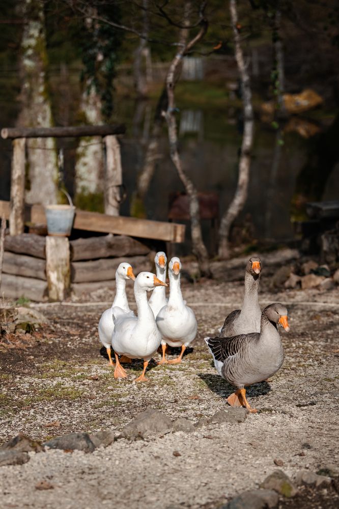 Фотография автора Юлия Носова