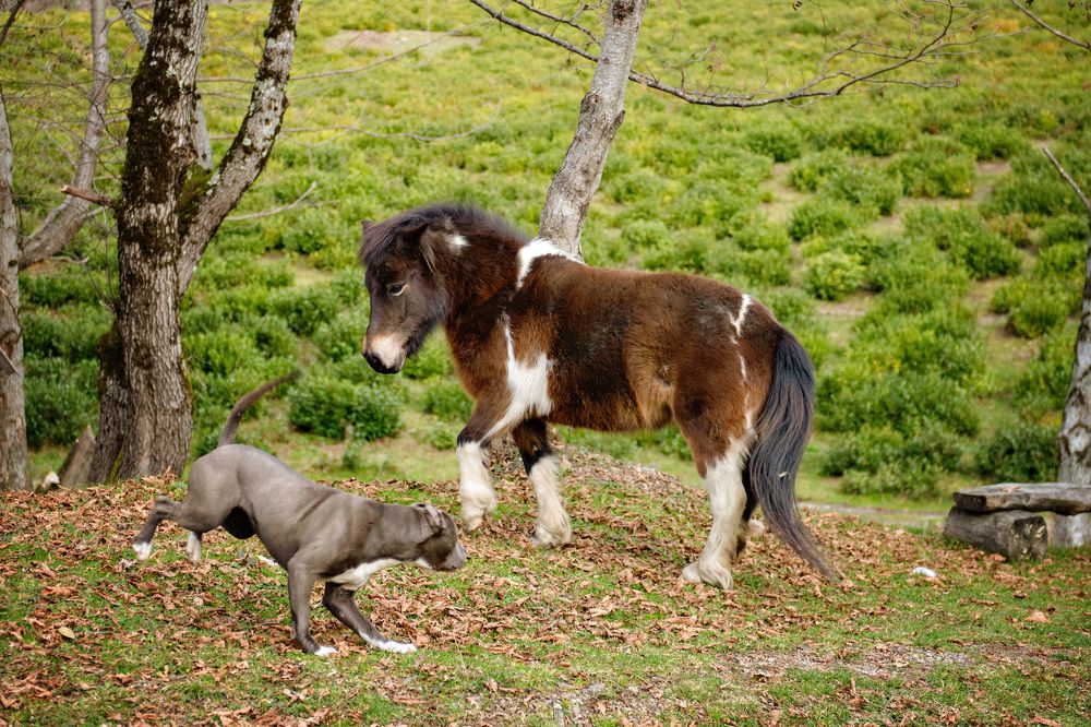 Фотография автора Юлия Носова