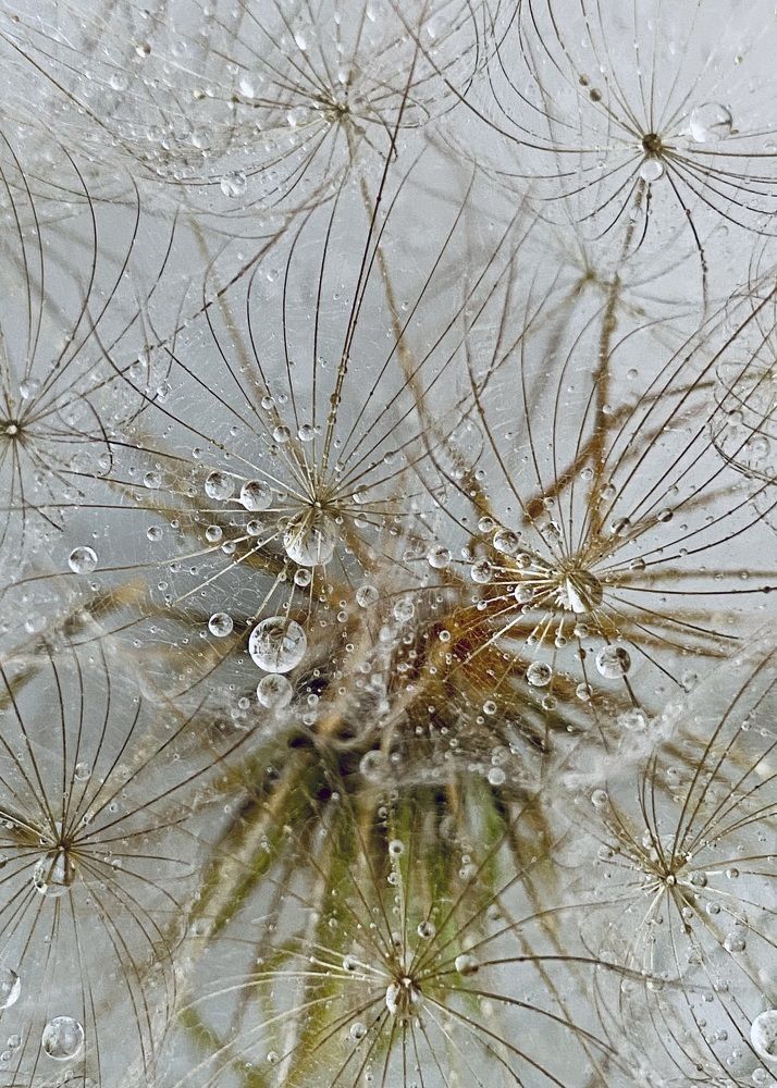 Фотография автора ГУЗАЛИЯ ГАНИЕВА