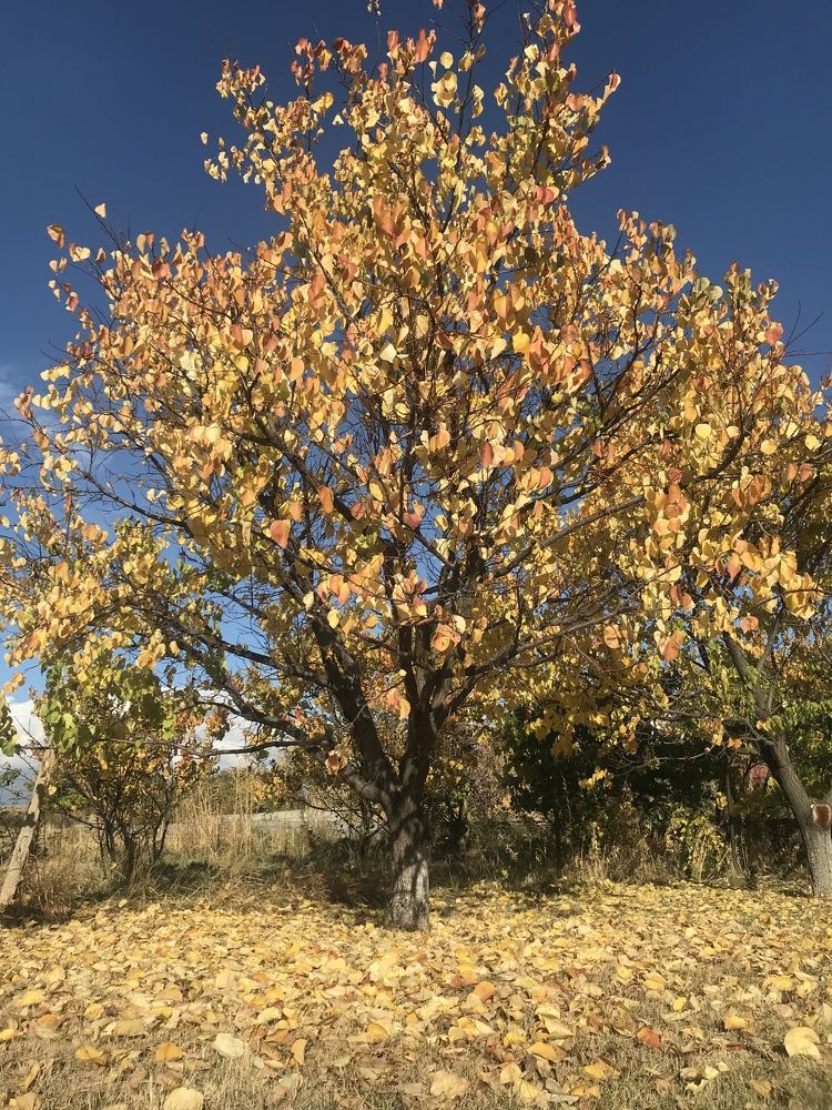 Photograph by Tatev Nadaryan