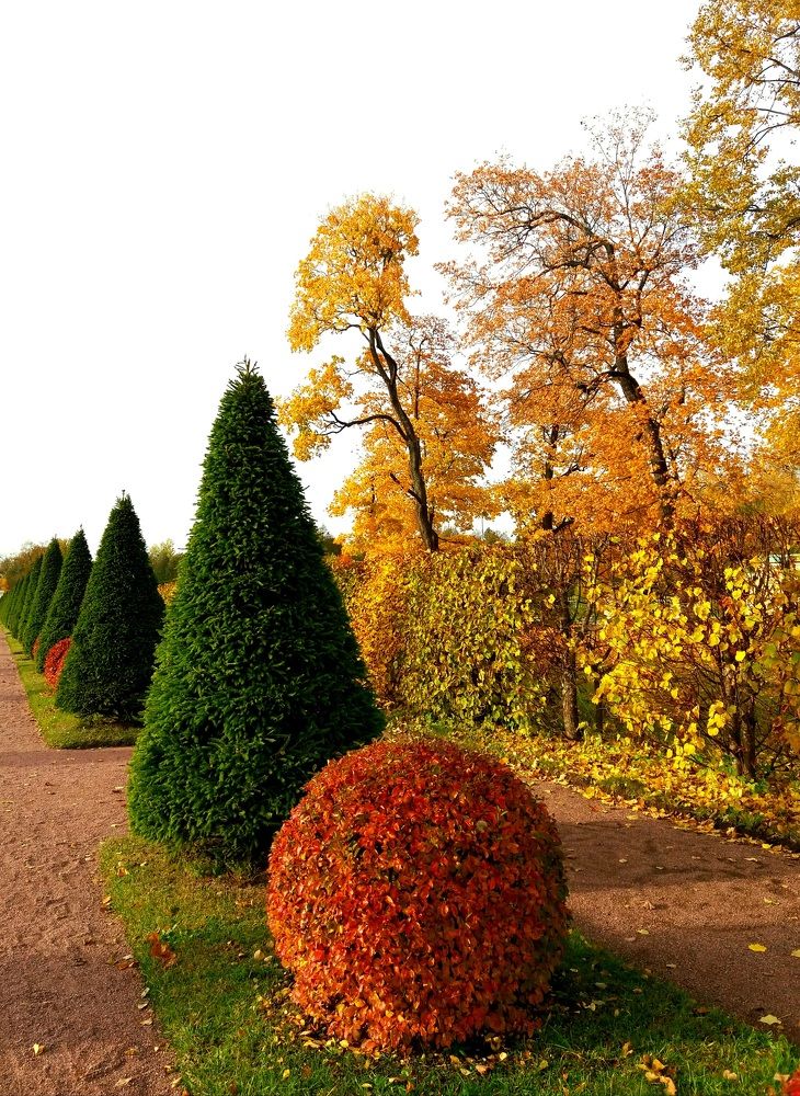 Фотография автора Наталья Бруёк