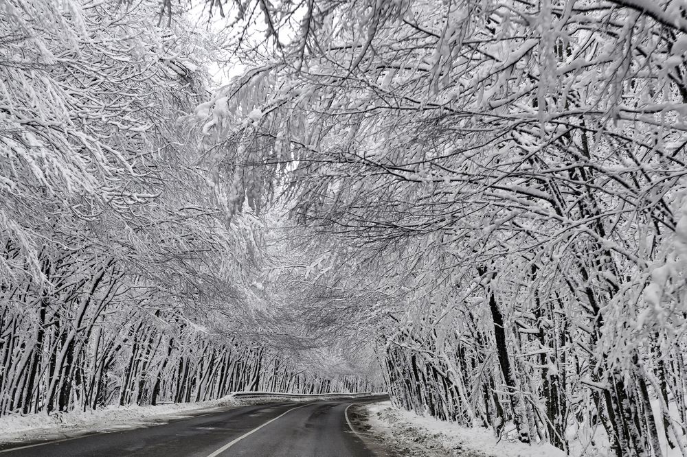 Photograph by Ирина Ульянова