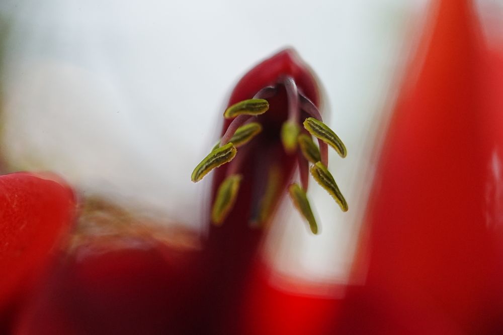 Photograph by Andrew Becker