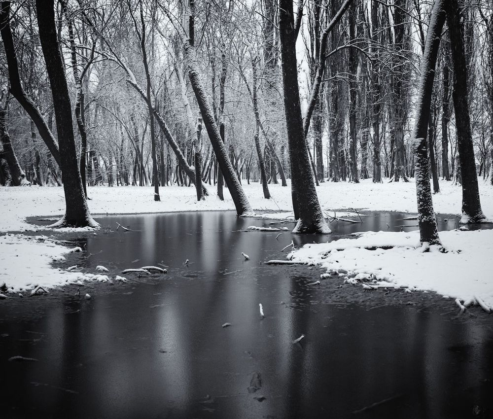 Photograph by Щербак Анатолий