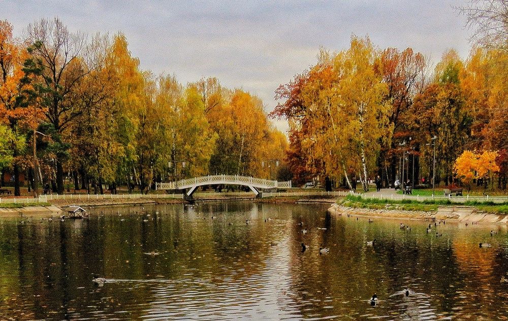 Photograph by Светлана