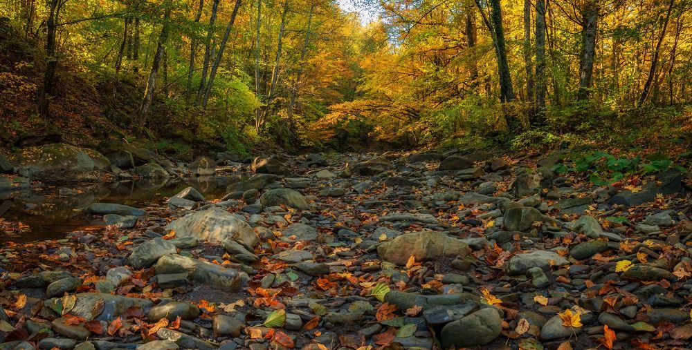 Photograph by Щербак Анатолий