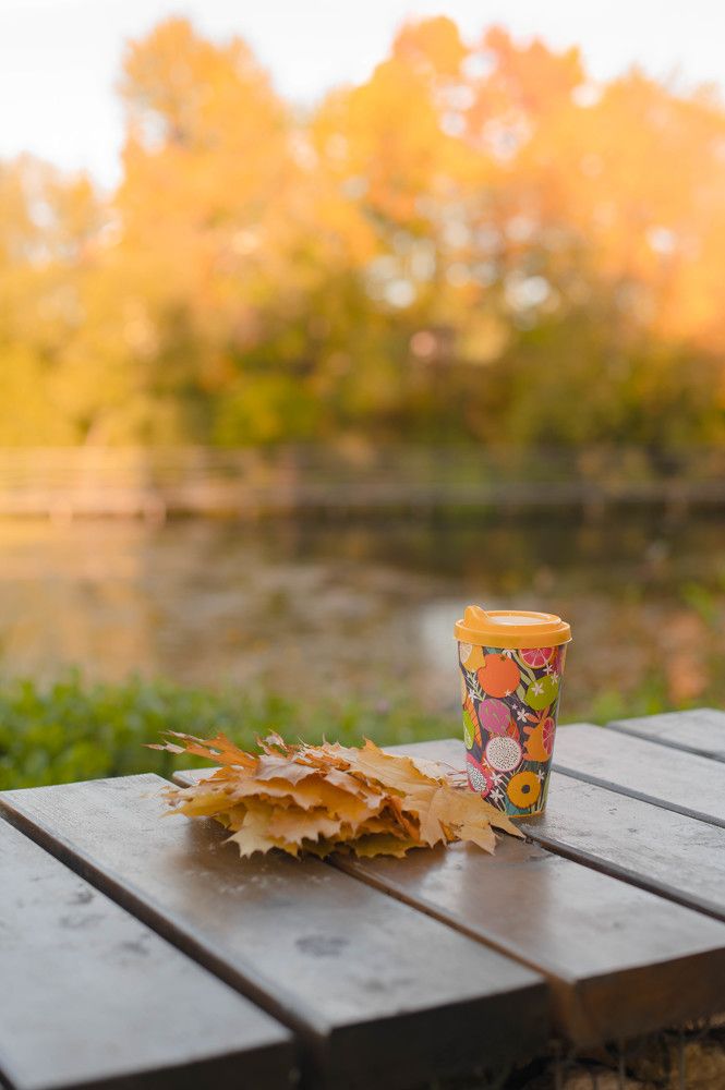 Photograph by Ольга Ельчанинова