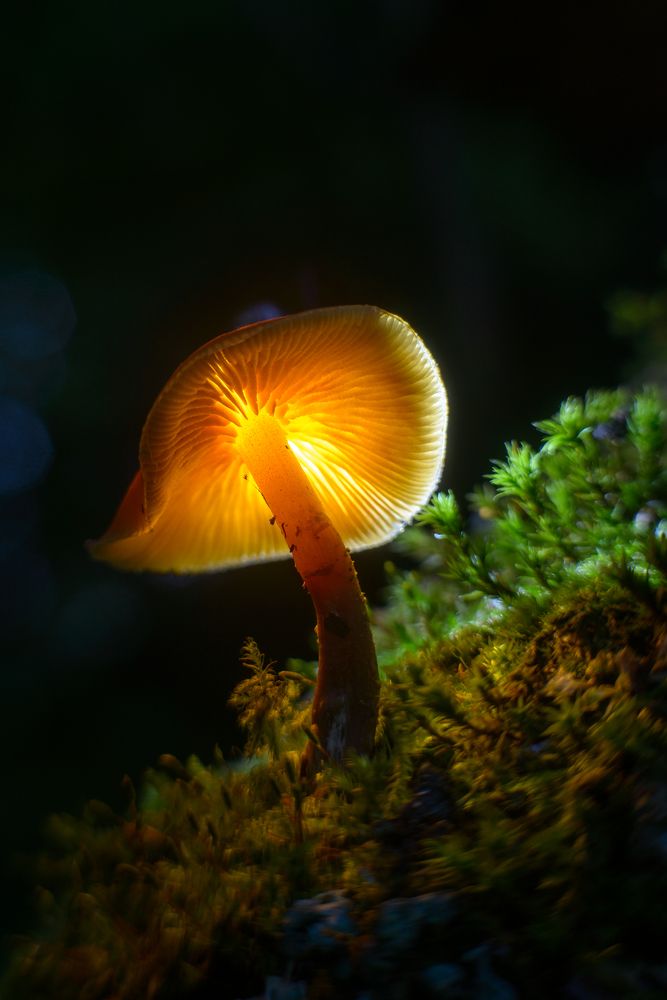 Фотография автора Сизов Кирилл