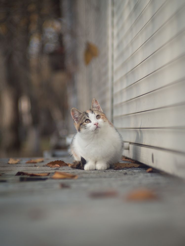 Photograph by Щербак Анатолий