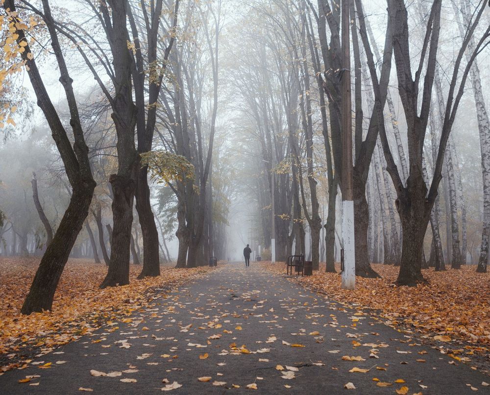 Photograph by Щербак Анатолий