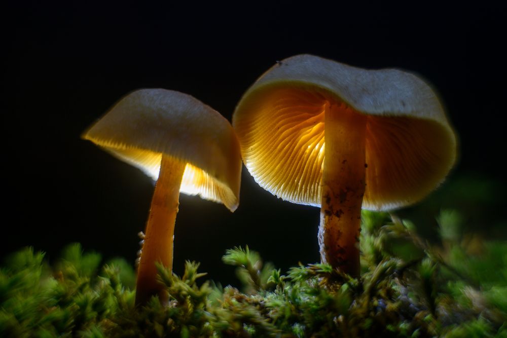 Фотография автора Сизов Кирилл