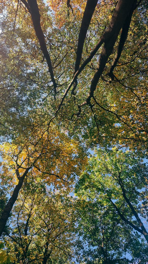 Photograph by Ирина Львова