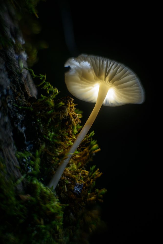 Фотография автора Сизов Кирилл