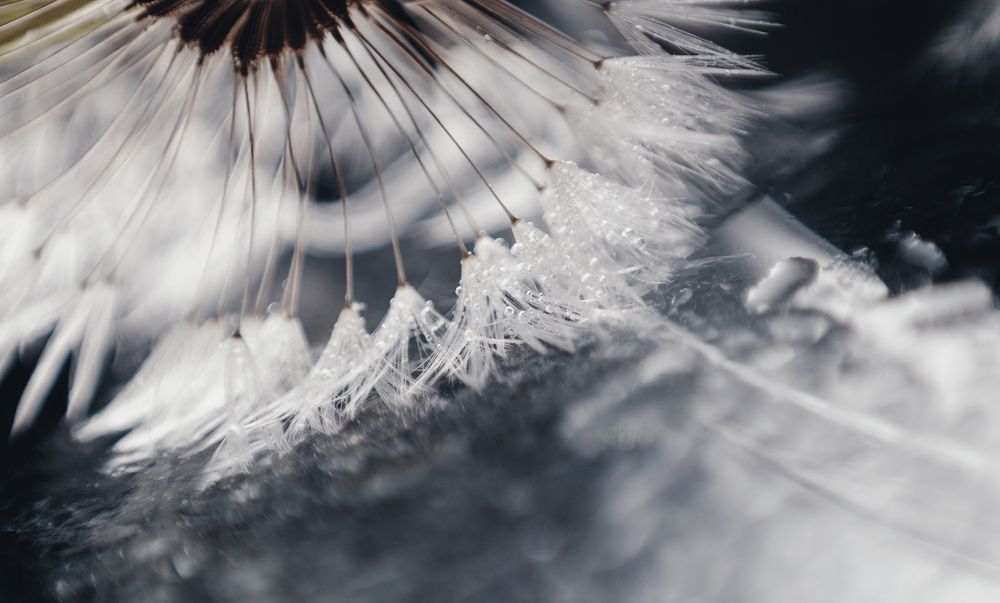 Photograph by Щербак Анатолий