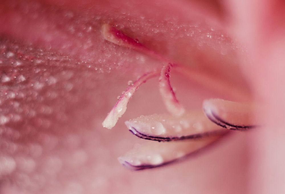 Photograph by Щербак Анатолий