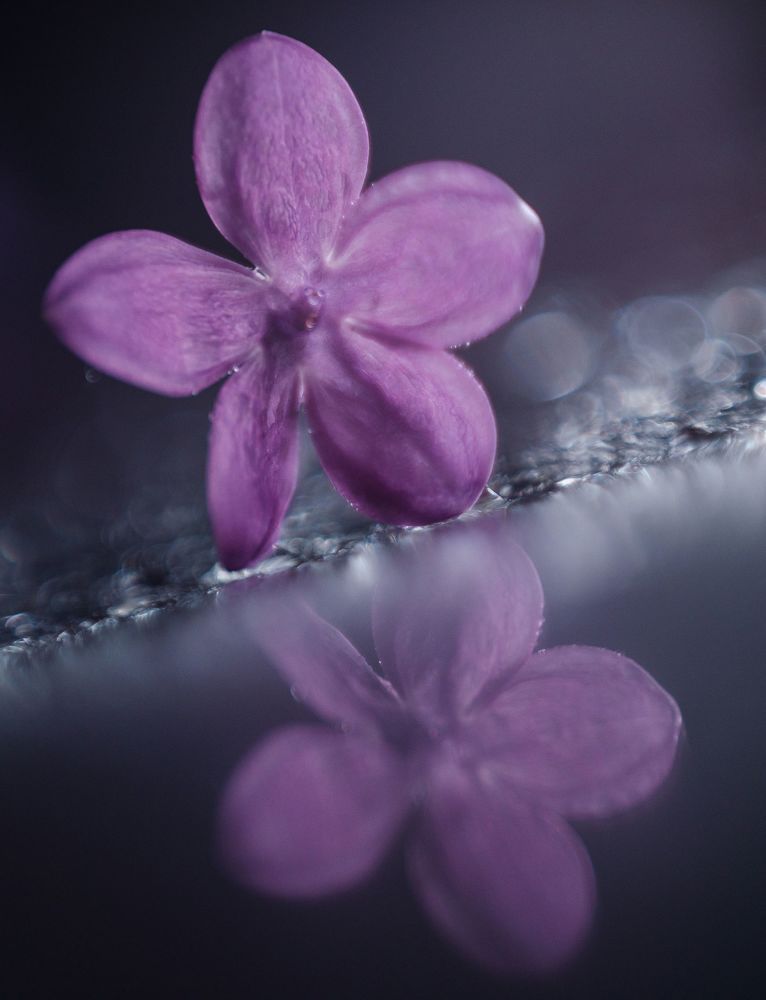 Photograph by Щербак Анатолий