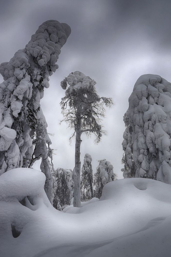 Фотография автора Павел Мартюшев