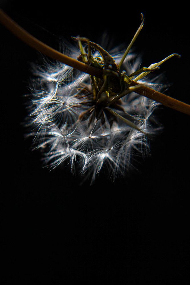 Фотография автора Ирина Гриценко