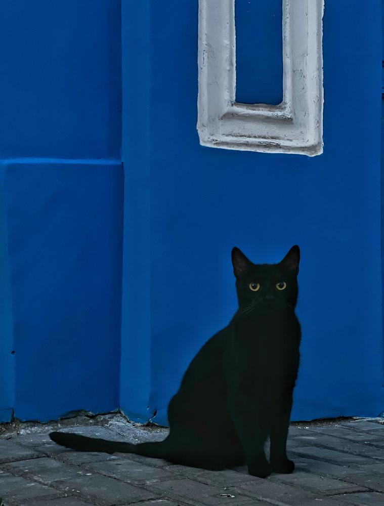 Photograph by Василий Герасимов