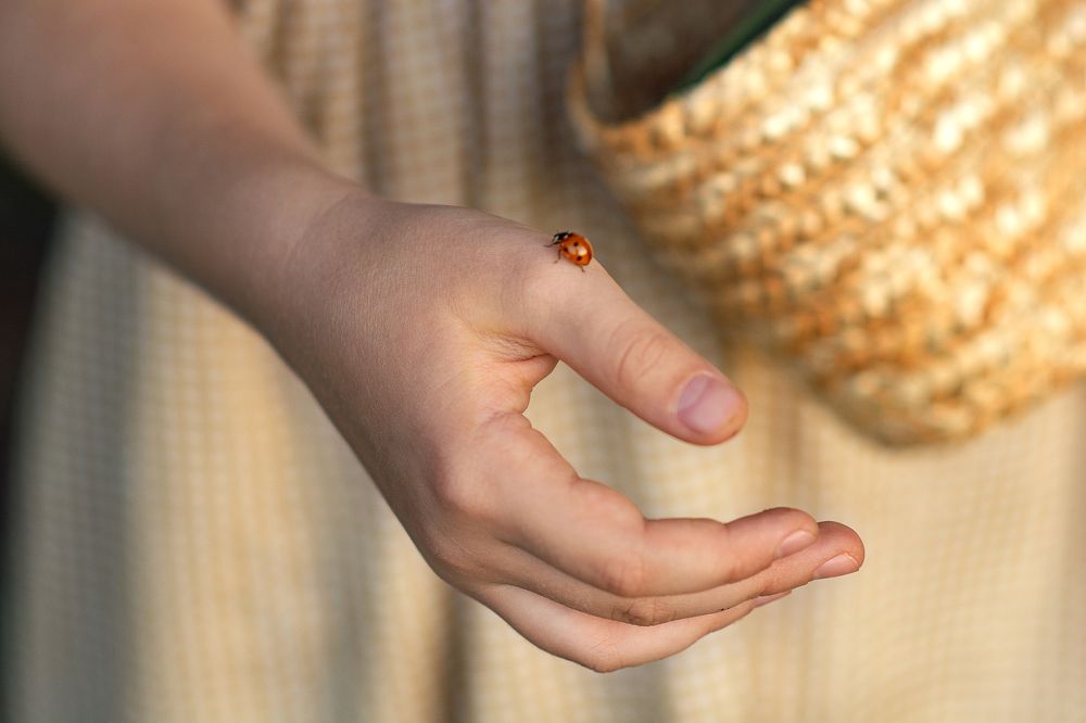 Фотография автора Марина Сокова