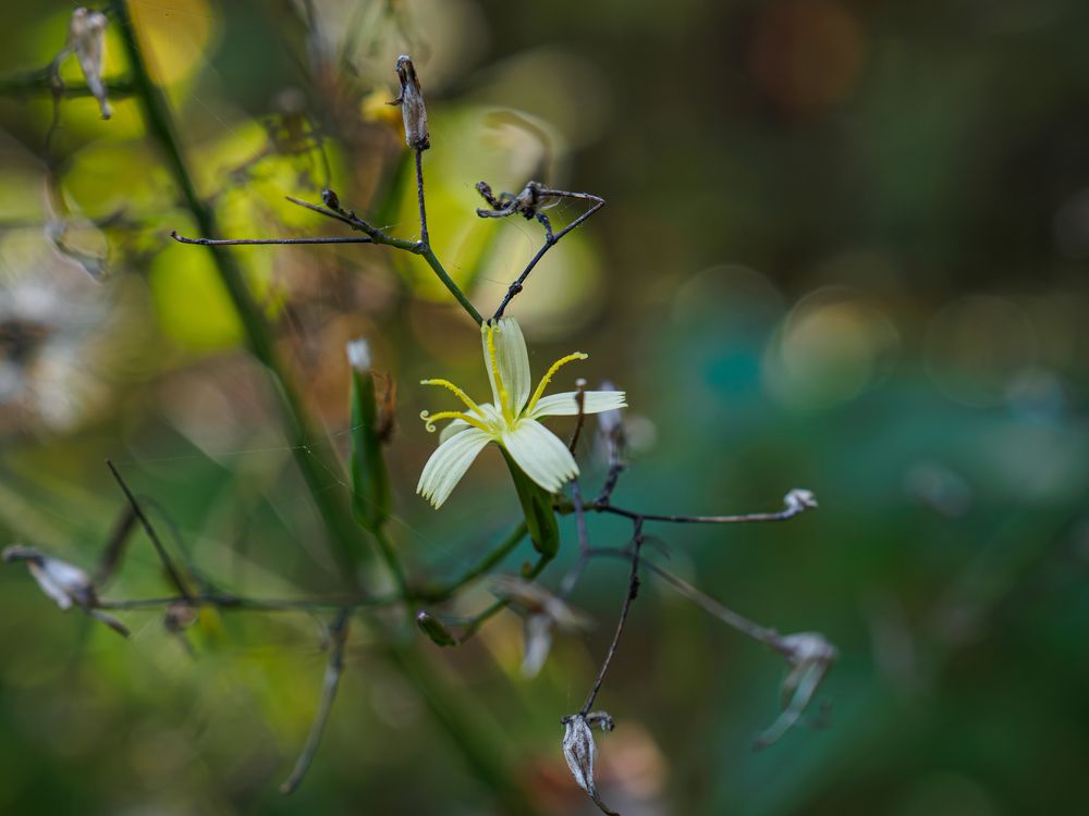 Photograph by Андрей Мичурин