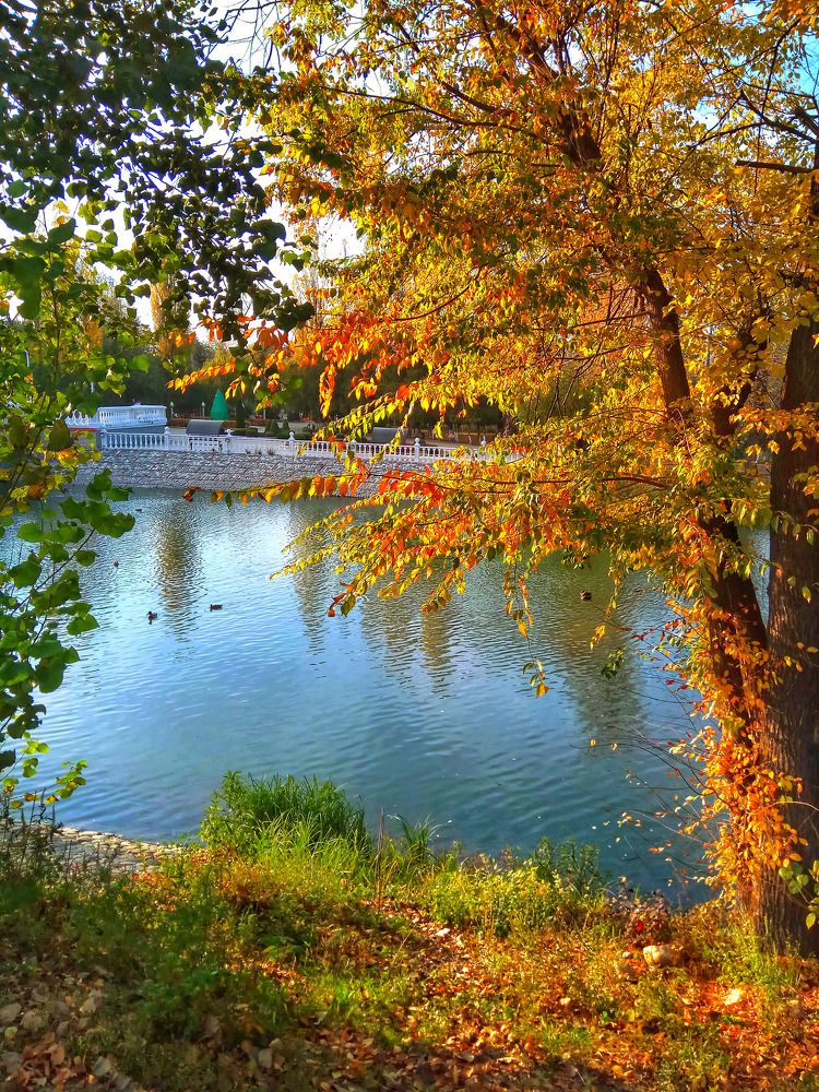 Photograph by Алла Холодова